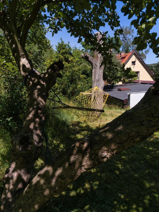 Wilenska Home Gdańsk Kültér fotó